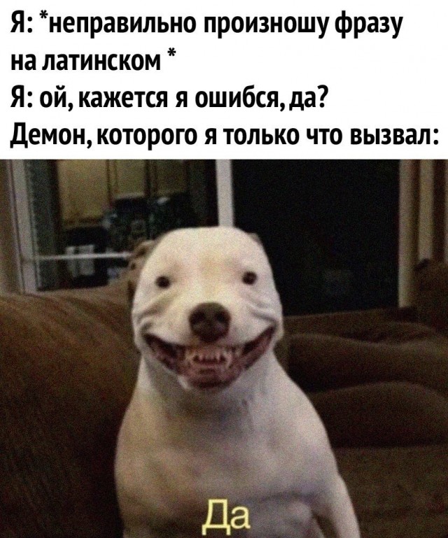 Всякое-разное (картинки) 02.07.2021