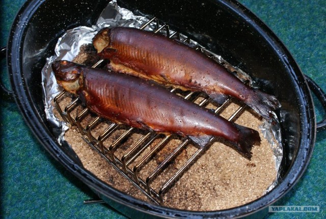 КопчуЮшки