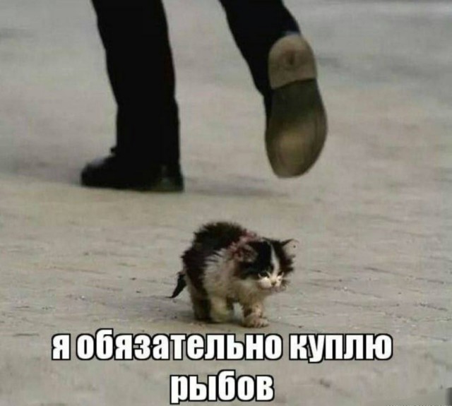 Бредзона 22.08.21