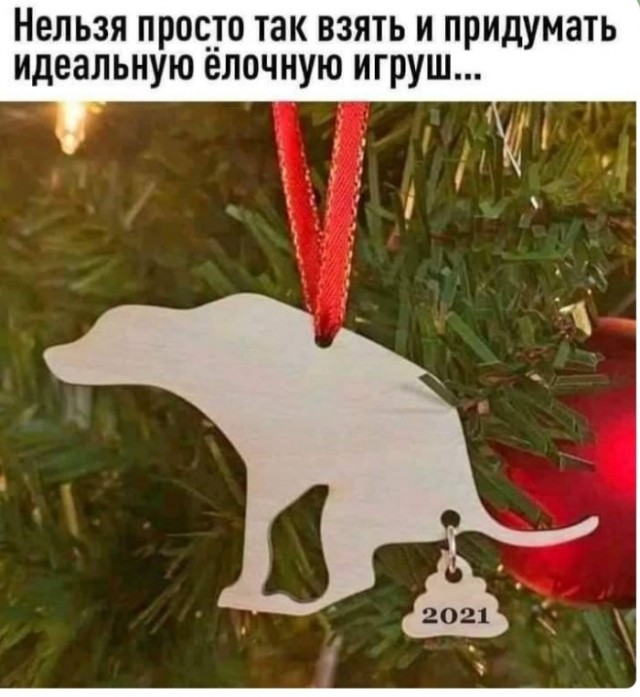 Бредзона 11.12