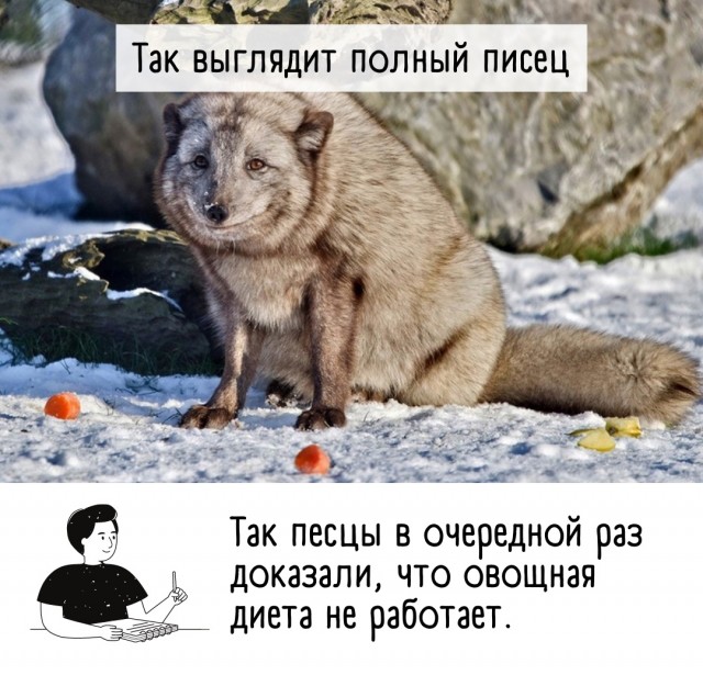 Так себе картинки 05.04.22