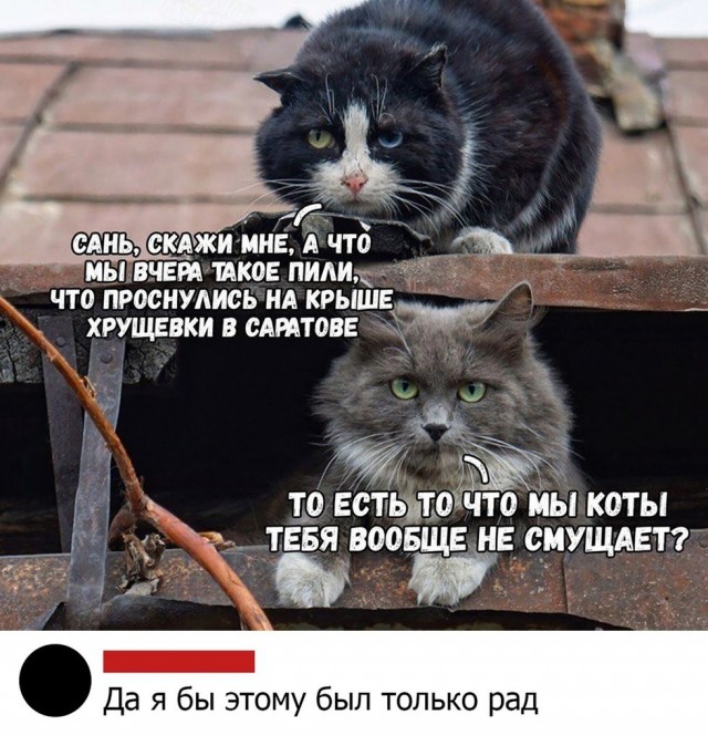 Так себе картинки 18.04.22