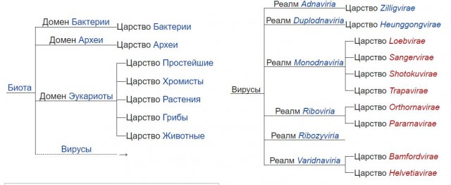 Эти забавные животные