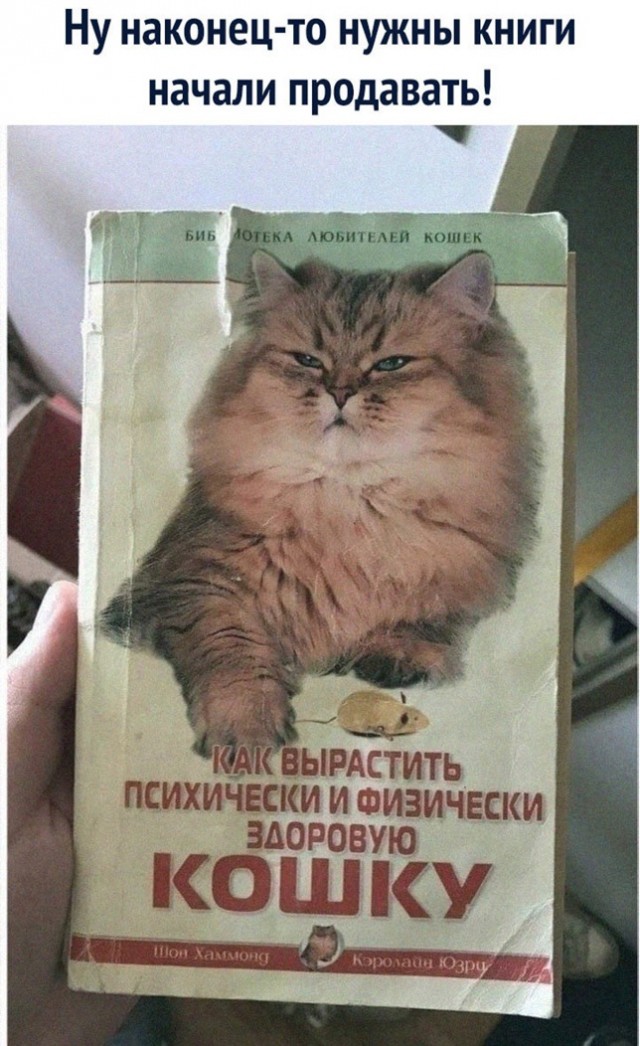 Так себе картинки 26.07.22