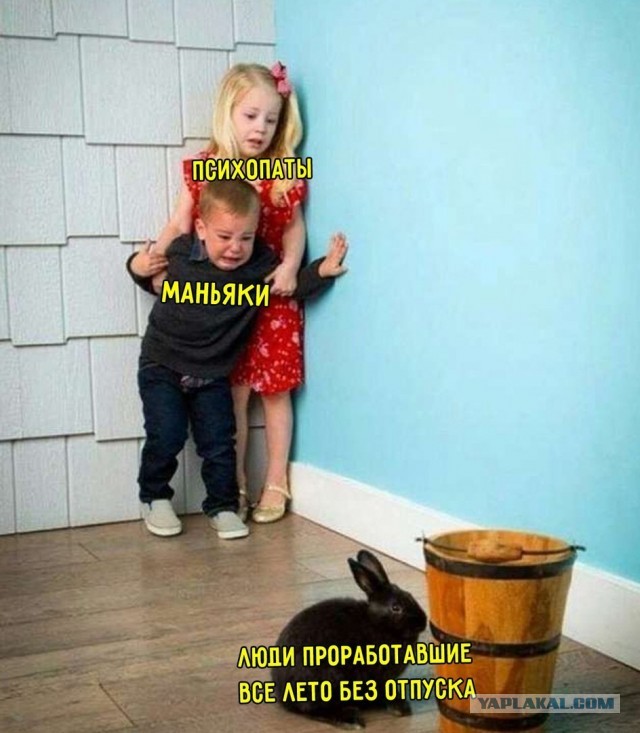 Мемы на конец июля