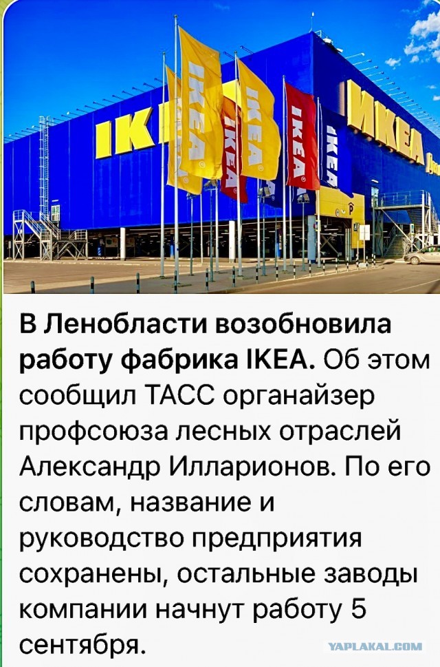 Пандемия съехавших крыш - разновидности болезни. Россия и мир. Часть 41.