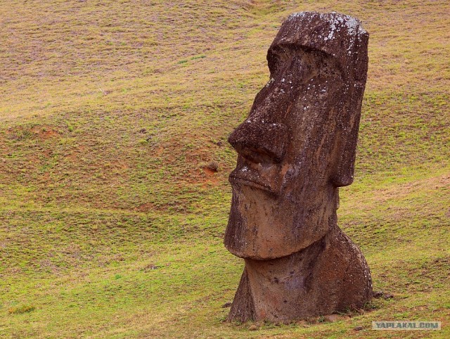 Южно-Американский дневник. остров Пасхи