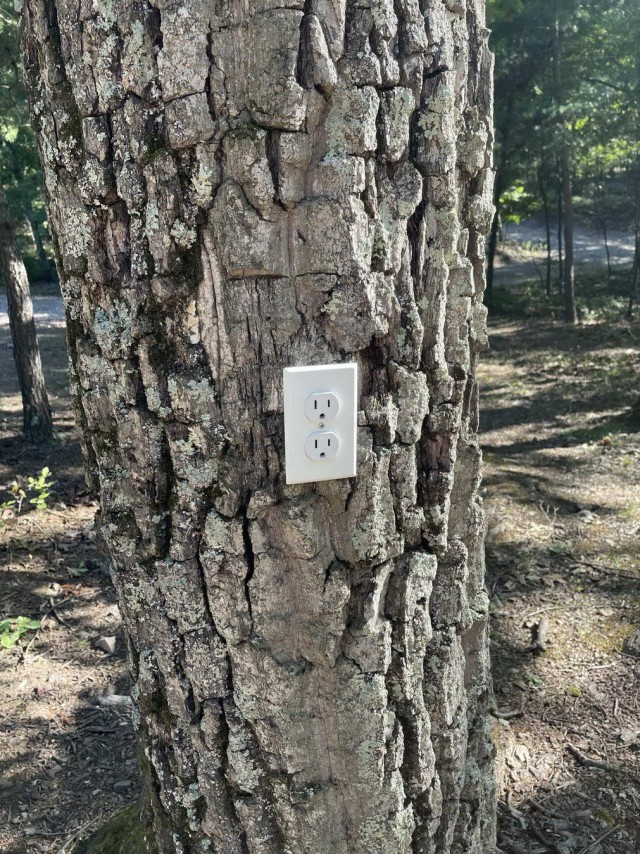 Просто фотографии
