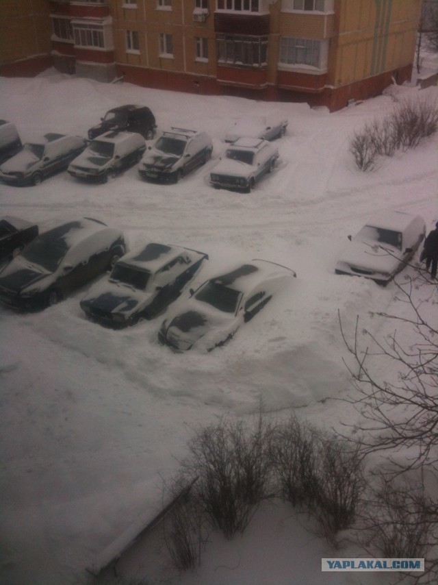 Весна пришла,весне дорогу!