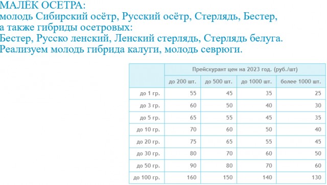 Трагедия: Житель Якутии, оштрафованный на 10 миллионов за вылов осетров, скончался