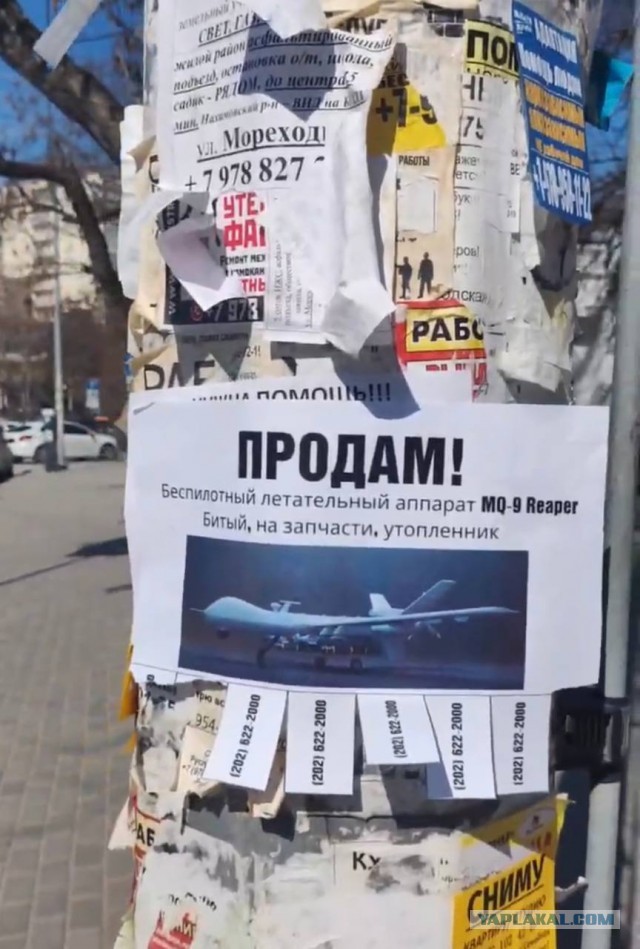Победная поступь идиотизма по планете – том 10