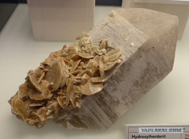Mineralientage München 2018