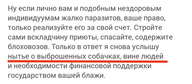 Регионам разрешили усыплять бездомных собак