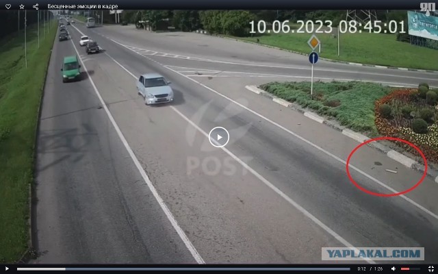 Бесценные эмоции в кадре