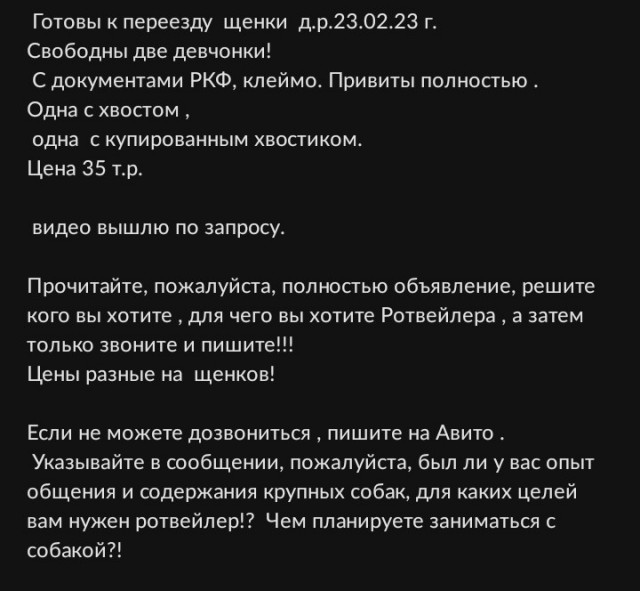 Куда пропали колли?