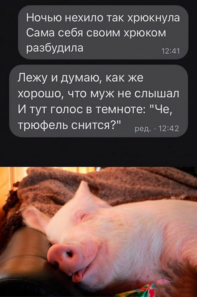 Нуштош 27.08.23