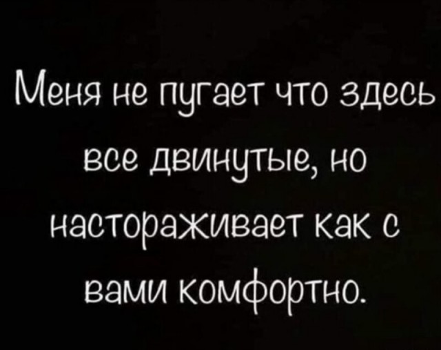 Весёлый полтишок 08.09.23