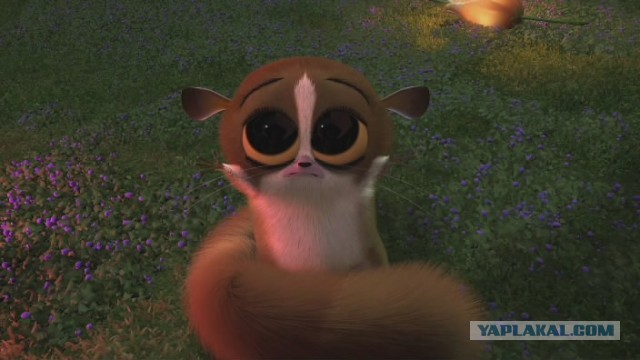 Cпасение крохотного бельчонка.