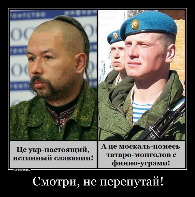 История о том, как монголо-татары заселили Киевскую Русь и превратились в запорожских козаков