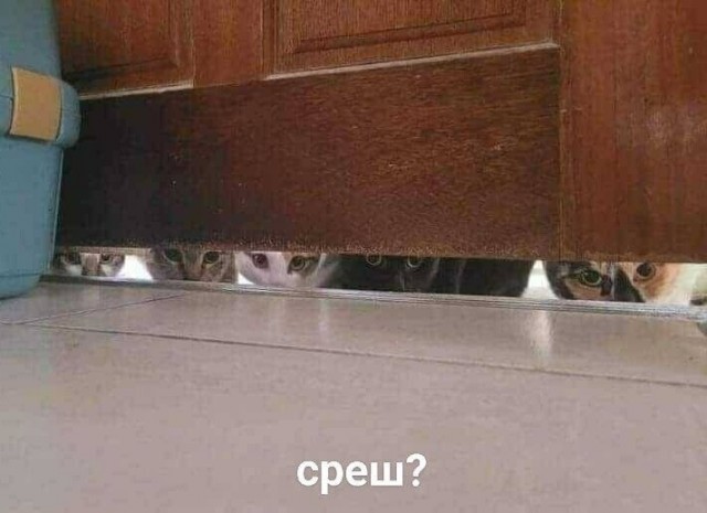 Юмор в картинках и без
