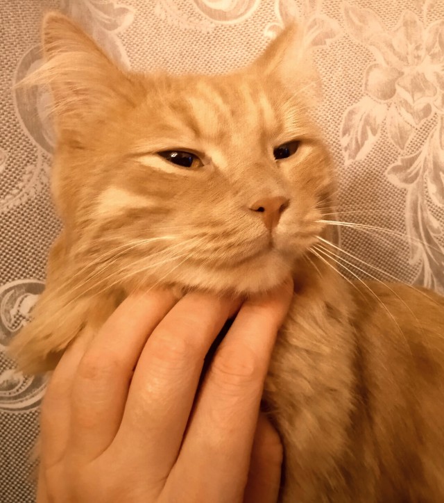 Подобрали