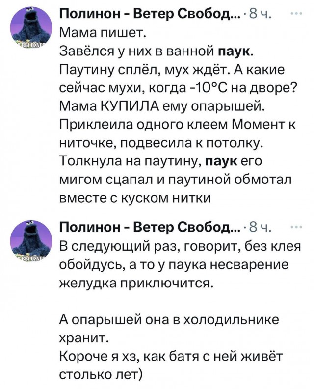 Приколы с налетом деградации