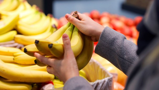 Эквадор предоставил РФ обоснование для снятия запрета на импорт бананов