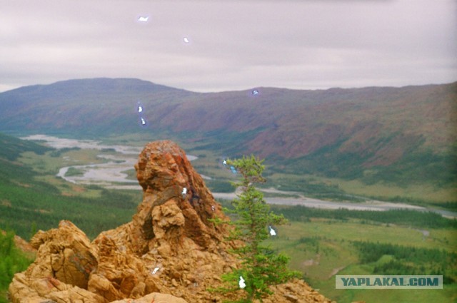 Единственная выжившая постаралась забыть о том, что видела. Трагедия группы Коровиной