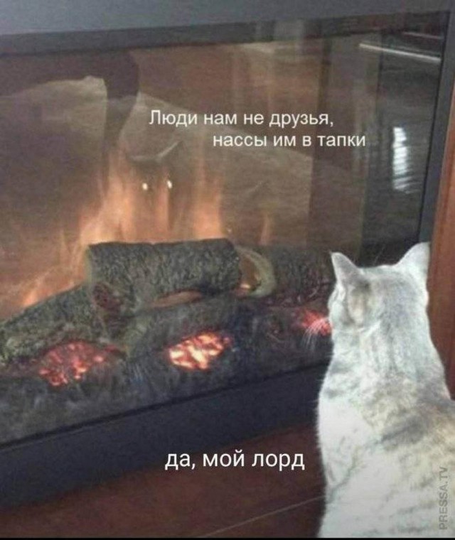 Прикольные и просто красивые картинки 28.06.2024