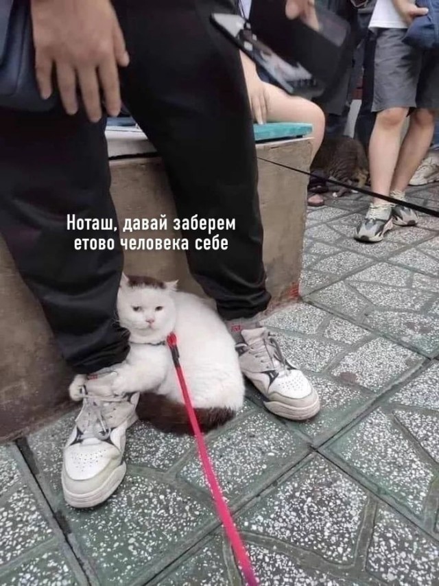 Так себе картинки 03.10.24