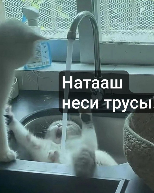 Оскар за лучшую роль в номинации "Драма"