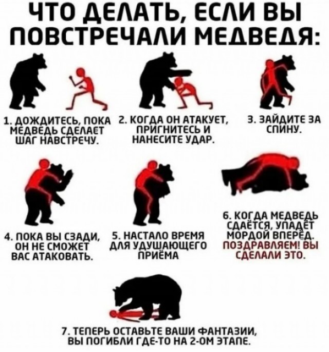 В Приморье охотник стал жертвой медведя