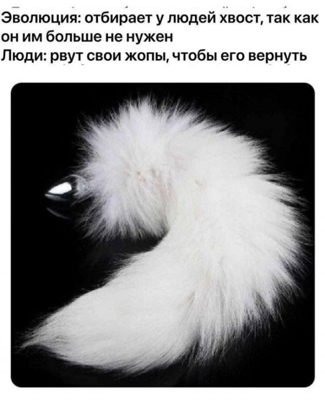 Веселые картинки к маленькой пятнице (25.12)
