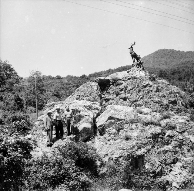 Фотолюбительство в СССР. Крым, Украина. 1957 год.