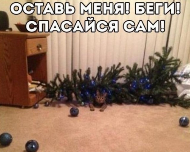 Пятниццо-баяниццо