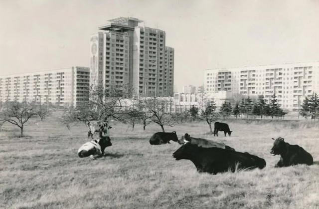 ​ Фотографии из прошлого нашей страны – 104