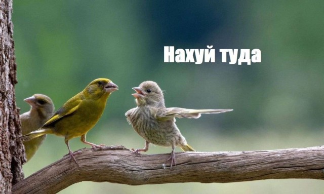 На случай важных переговоров