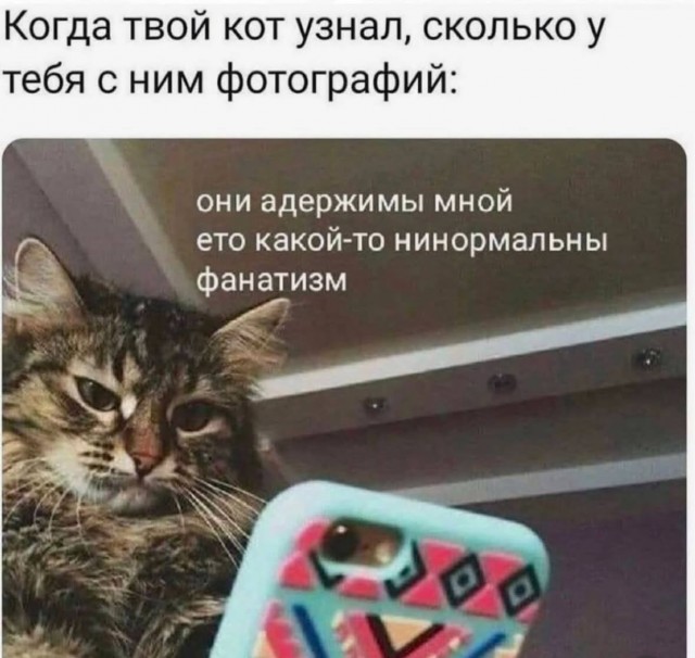 Завалялось тут случайно немного забавных картинок