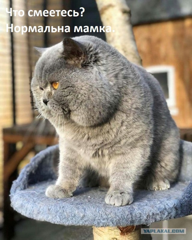 Как скучно мы живём.