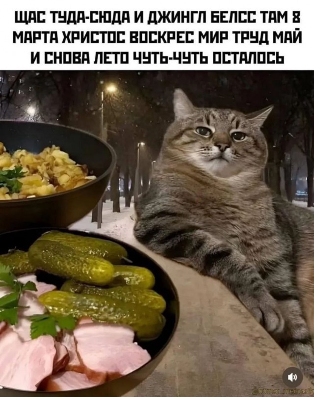 Весна, Лето, Осень, Зима... и снова Весна