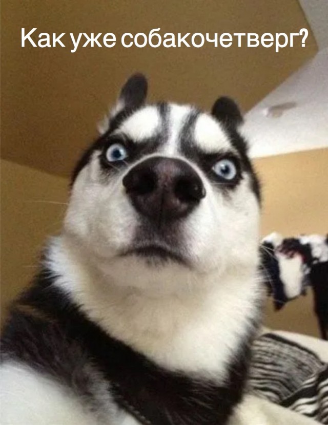 Веселое настроение в картинках (16.10.2025)