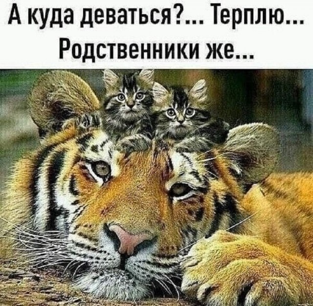 Так себе картинки 04.12.25
