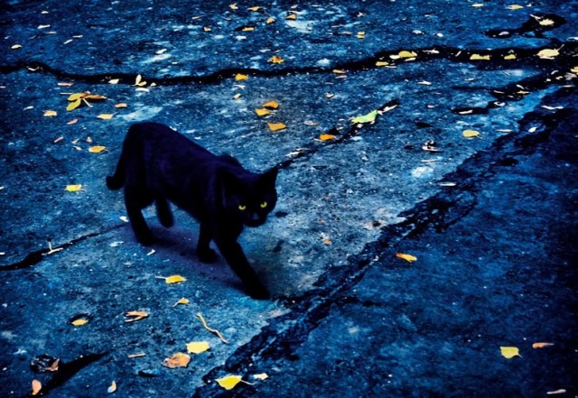 Про приметы и суеверия