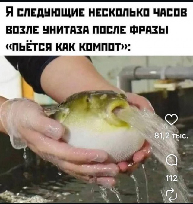 Картиночки, баянчики 06 января