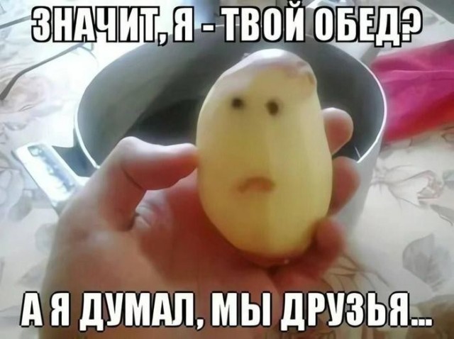 Картинки для деградации 172 (разной степени свежести)