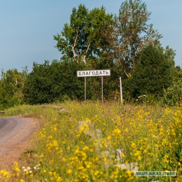 Картинки для деградации 188 (разной степени свежести)