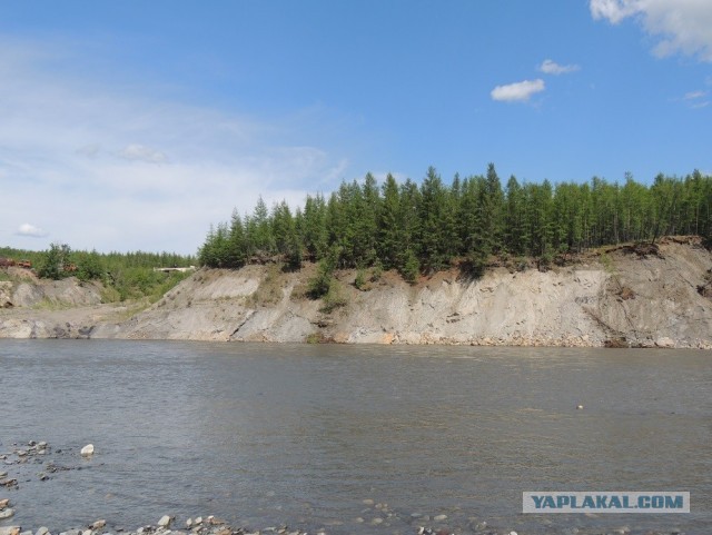 В Якутии спасли водителя КамАЗа, который четыре дня выживал в дикой тайге без еды и воды