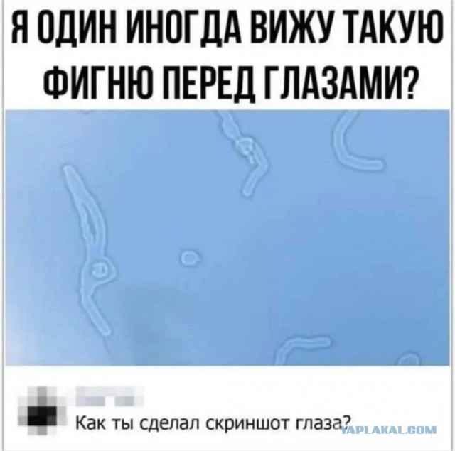 Офтальмолог показала, как на самом деле видят люди с разными заболеваниями глаз