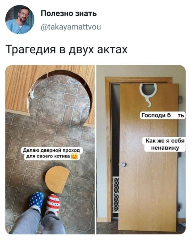 Картинки для деградации 232 (разной степени свежести)