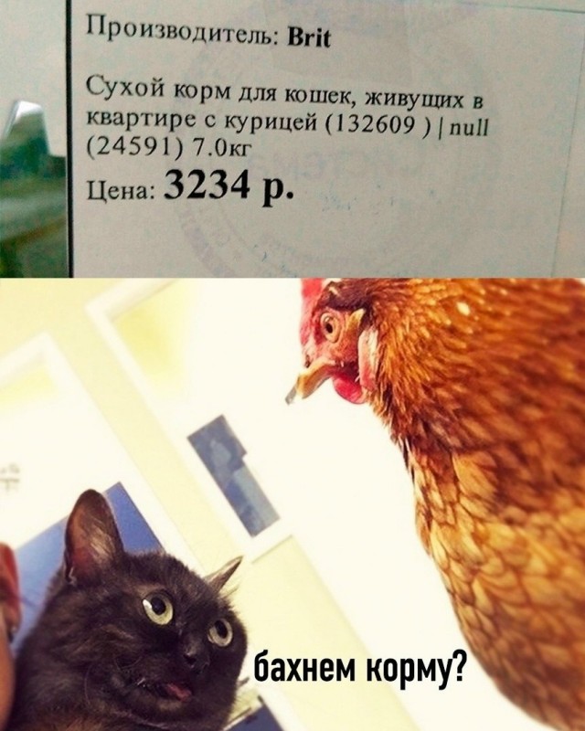 Так себе картинки 13.07.26